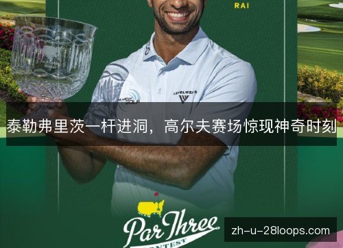 泰勒弗里茨一杆进洞，高尔夫赛场惊现神奇时刻